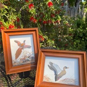 Vintage 3d Wooden Framed Bird Art Set by Joseph Q Whipple